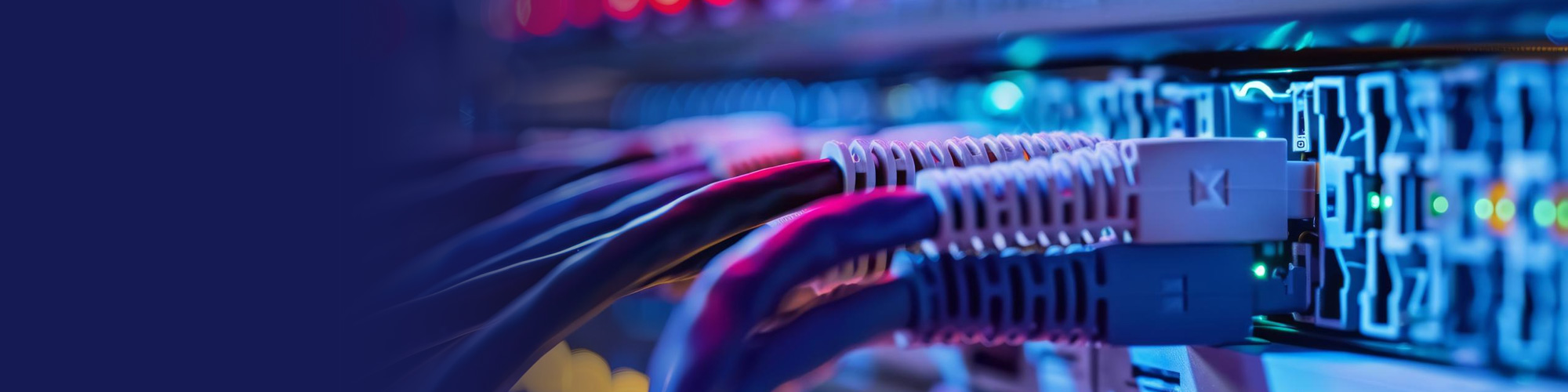 Network cables plugged into a switch in a server rack